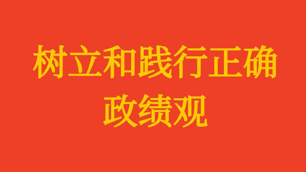 實(shí)干擔(dān)當(dāng) 為民造?！?xí)近平總書(shū)記引領(lǐng)全黨樹(shù)立和踐行正確政績(jī)觀(guān)